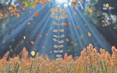 The Power of Muscle Testing: A Guide to Tapping into Your Subconscious Mind