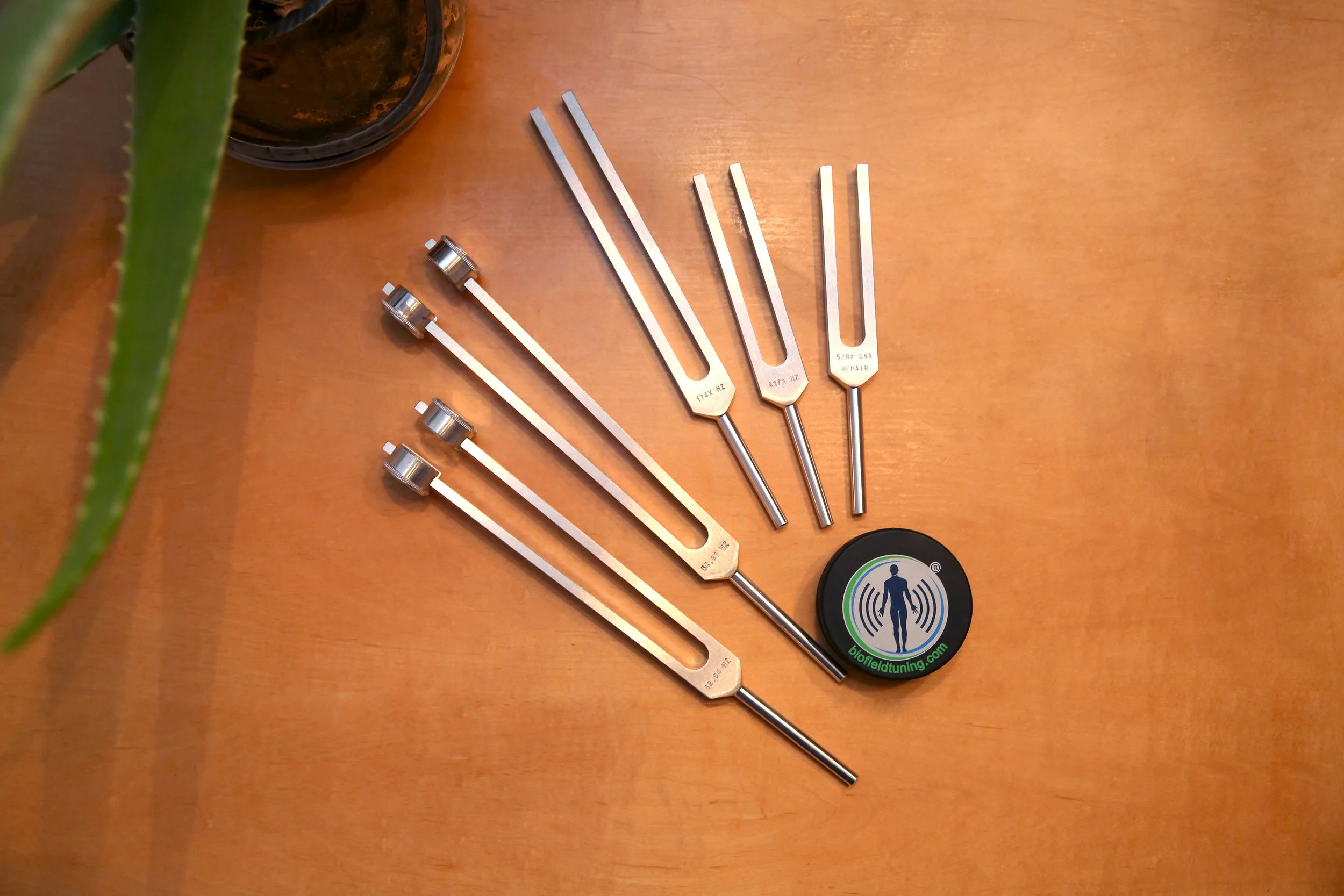 Unweighted tuning forks for healing used in Biofield Tuning sessions